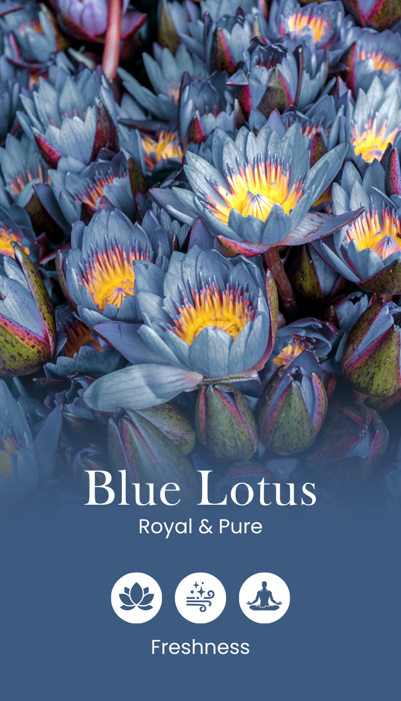 blue lotus 1